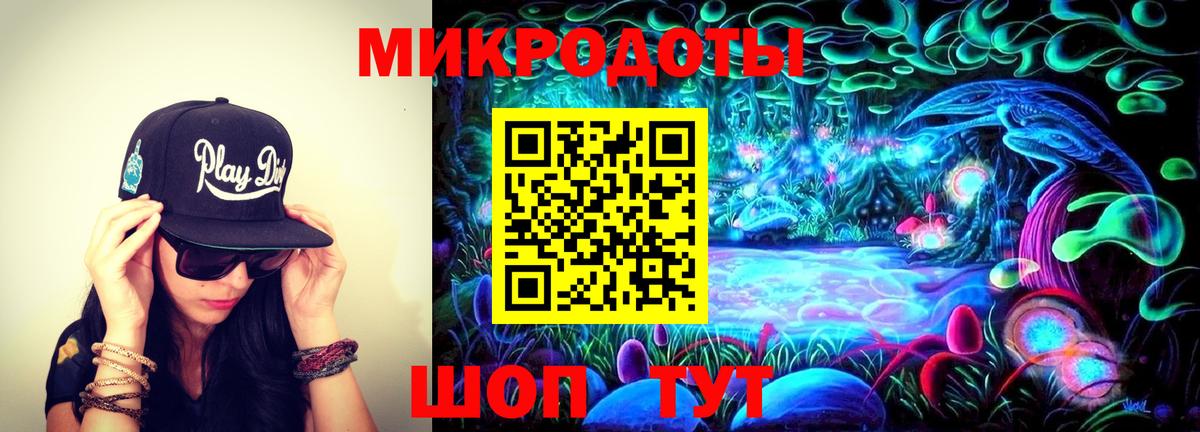 Псилоцибиновые грибы Cubensis Черняховск