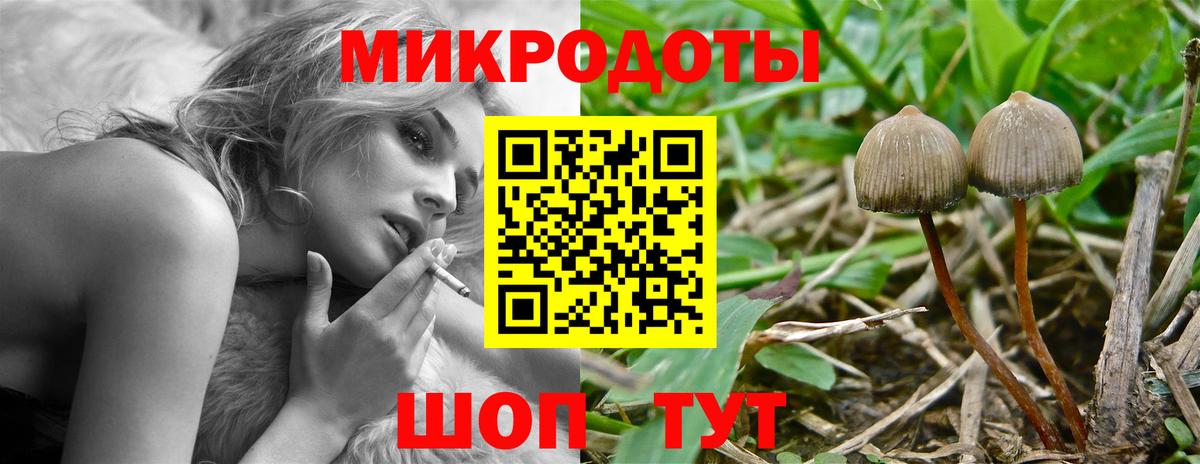 купить наркотик  Вход с VPN  Черняховск  Галлюциногенные грибы Cubensis 